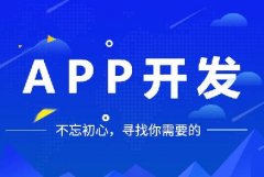 開發(fā)一個app多少錢？