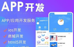APP軟件開發(fā)公司哪家好？