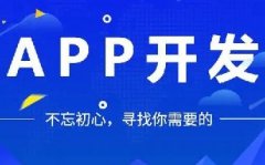 如何開發(fā)APP軟件，提高用戶體驗和吸引力？